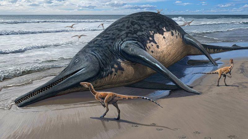 Fosil reptil laut raksasa 'sebesar dua bus' ditemukan di pantai Inggris